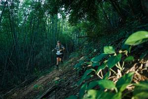 BIB: 
                            <button type="button" onclick="openModal(28124505)" class="btn btn-primary btn-sm float-right btn-popup" data-toggle="modal" data-target=".modal-high-quality">
                        <i class="fas fa-shopping-cart"></i> Add to Cart
                    </button>
                                            <button type="button" onclick="isThisMe(28124505, true)" class="btn btn-success btn-sm float-right btn-popup btn-isme hidden" data-toggle="tooltip" data-placement="bottom" title="นี่คือรูปของคุณใช่ไหม คลิกที่นี่เพื่อเอาเข้าอัลบั้ม">
                        <i class="fas fa-plus"></i> Add to album
                    </button>
                    <button type="button" onclick="isThisMe(28124505, false)" class="btn btn-warning btn-sm float-right btn-popup btn-isnotme hidden">
                        <i class="fas fa-ban"></i> Remove from album
                    </button>